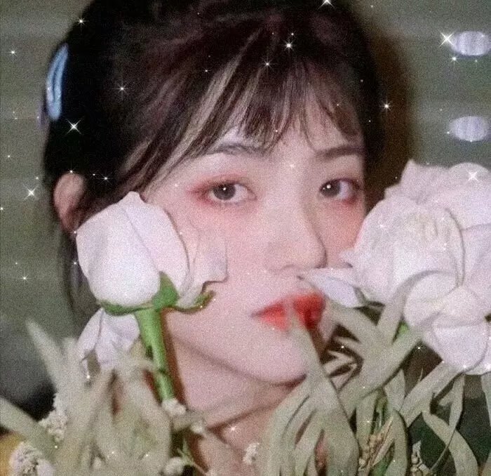 寂静的山林
