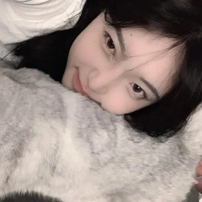 小猫熊历险记